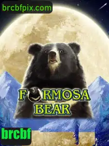 Descobrindo o Fascinante Mundo de FormosaBear